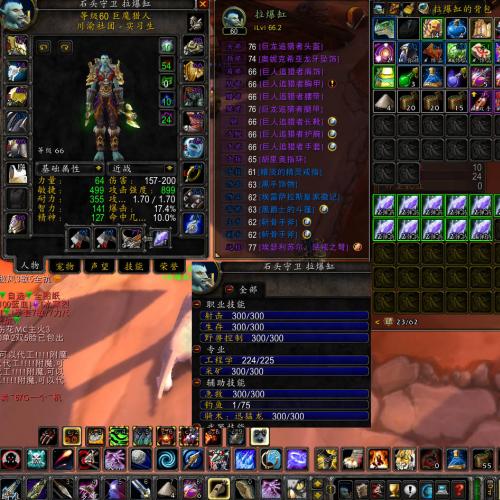 【编号：ZN147】魔兽世界周年庆 铁血1服 部落8T1 2T2 狗弩猎人 带个5T2亡灵术士